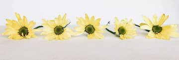 blommor