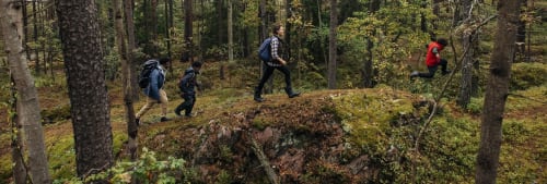 Personer som promenerar i skogen