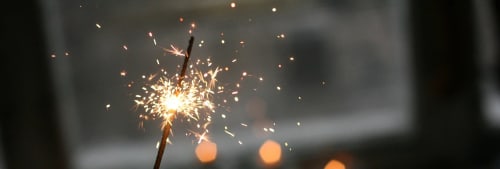 tomtebloss. Tips på nyårsmeny.