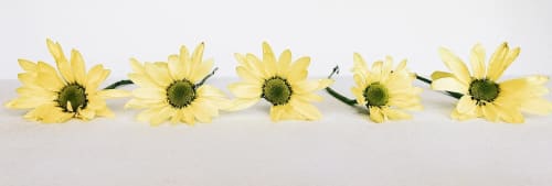 fem blommor. Ekonomi 2016.