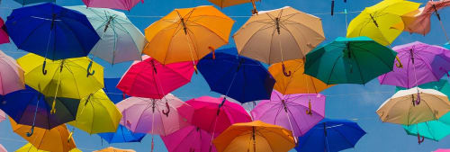 paraplyn. Måste man ha hemförsäkring?