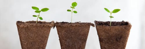 Frön som växer i en kruka - Se tips för internetbanken.