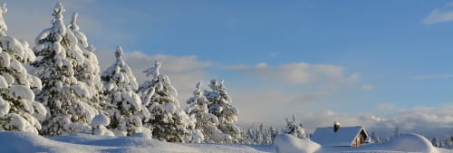 vinterlandskap. Vasaloppsveckan 2017.
