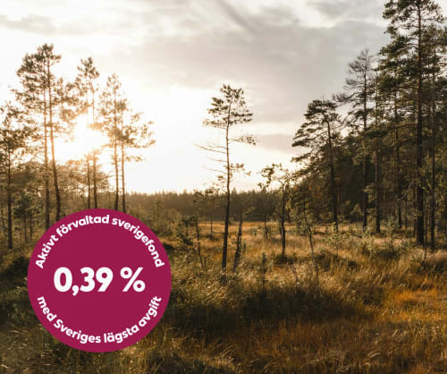 Soluppgång över en äng med lite träd.