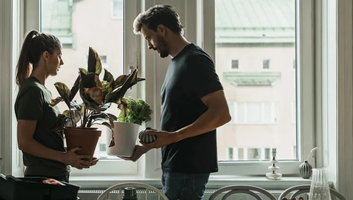 Par flyttar saker i en lägenhet. 20 % rabatt på alla juridiska avtal hos Lexly.