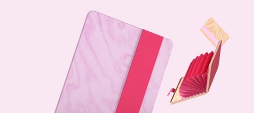 Bankkort och kortfodral