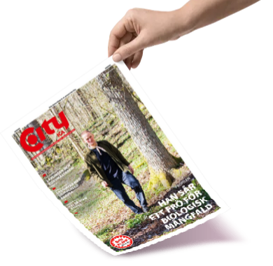 Veckans reklamblad