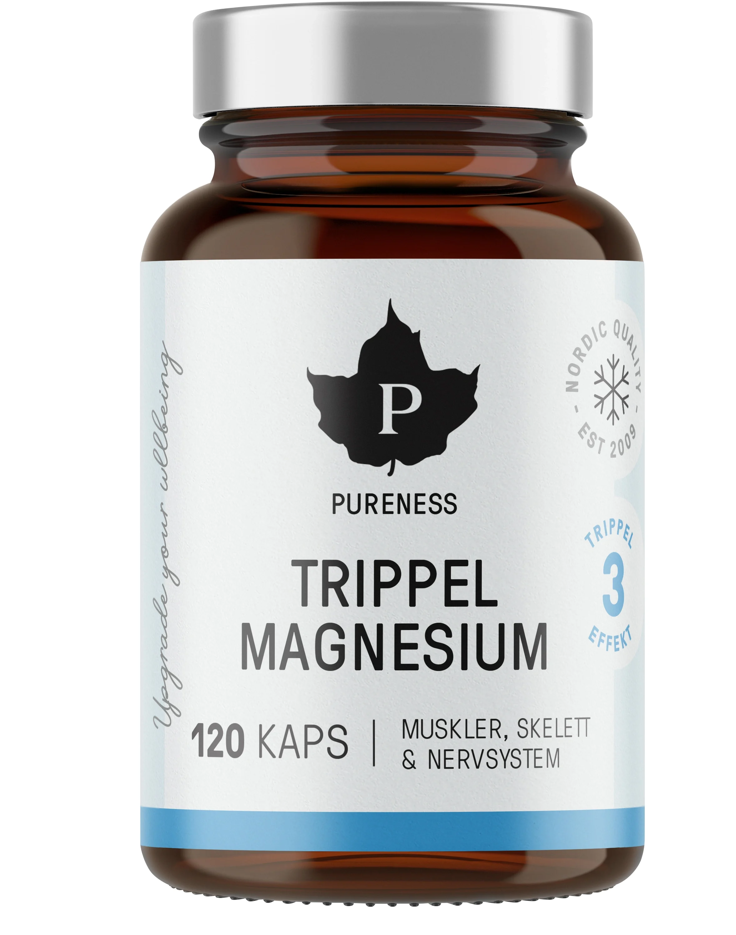 Pureness Trippel Magnesium 120 kapslar - Magnesium