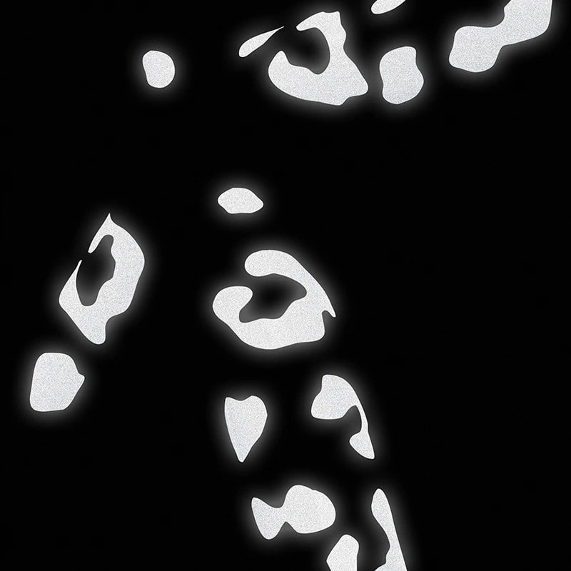 Bookman Reflective Stickers Leopard Print Black Bookman