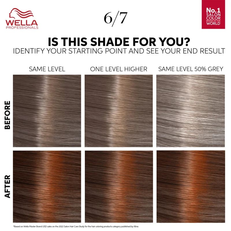 Wella Professionals Color Touch Deep Brown 130 ml Chocolate 6/7 Wella