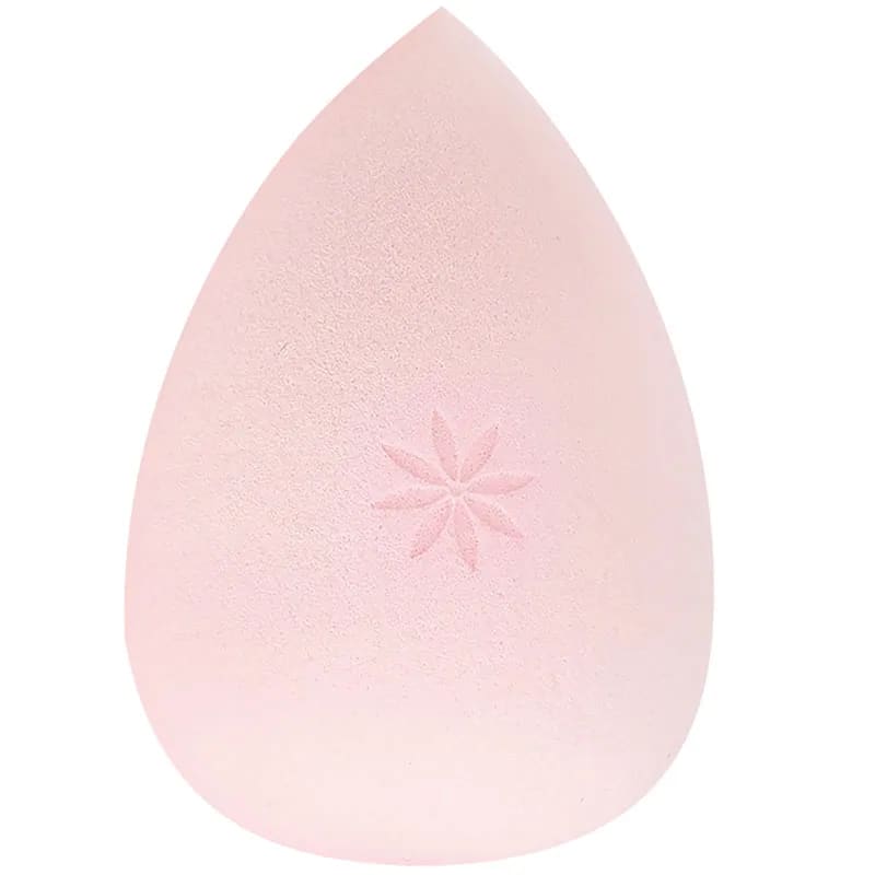 Brushworks Complexion Sponge Brushworks