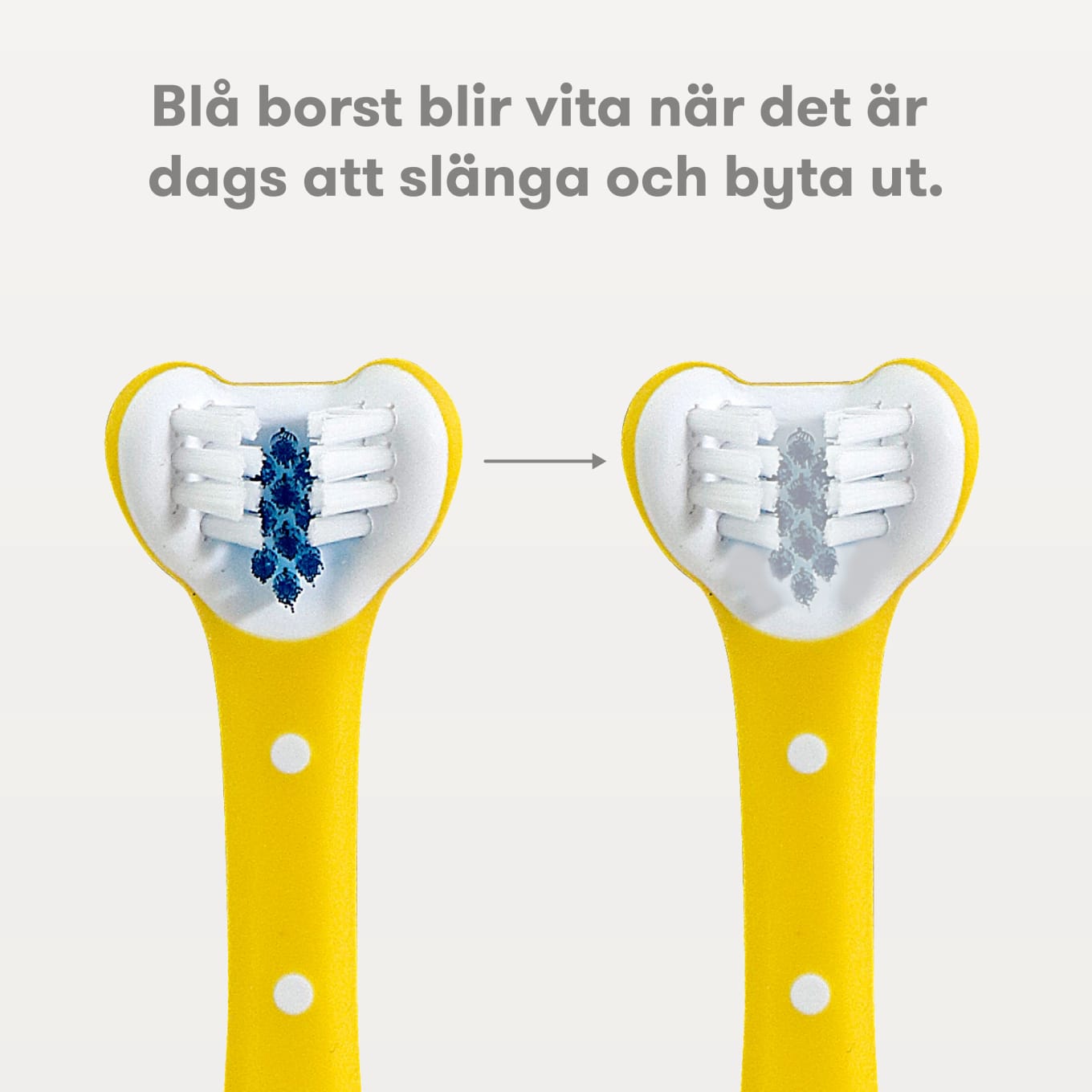 Frida Baby Trippelvinklad Tandkramare FridaBaby