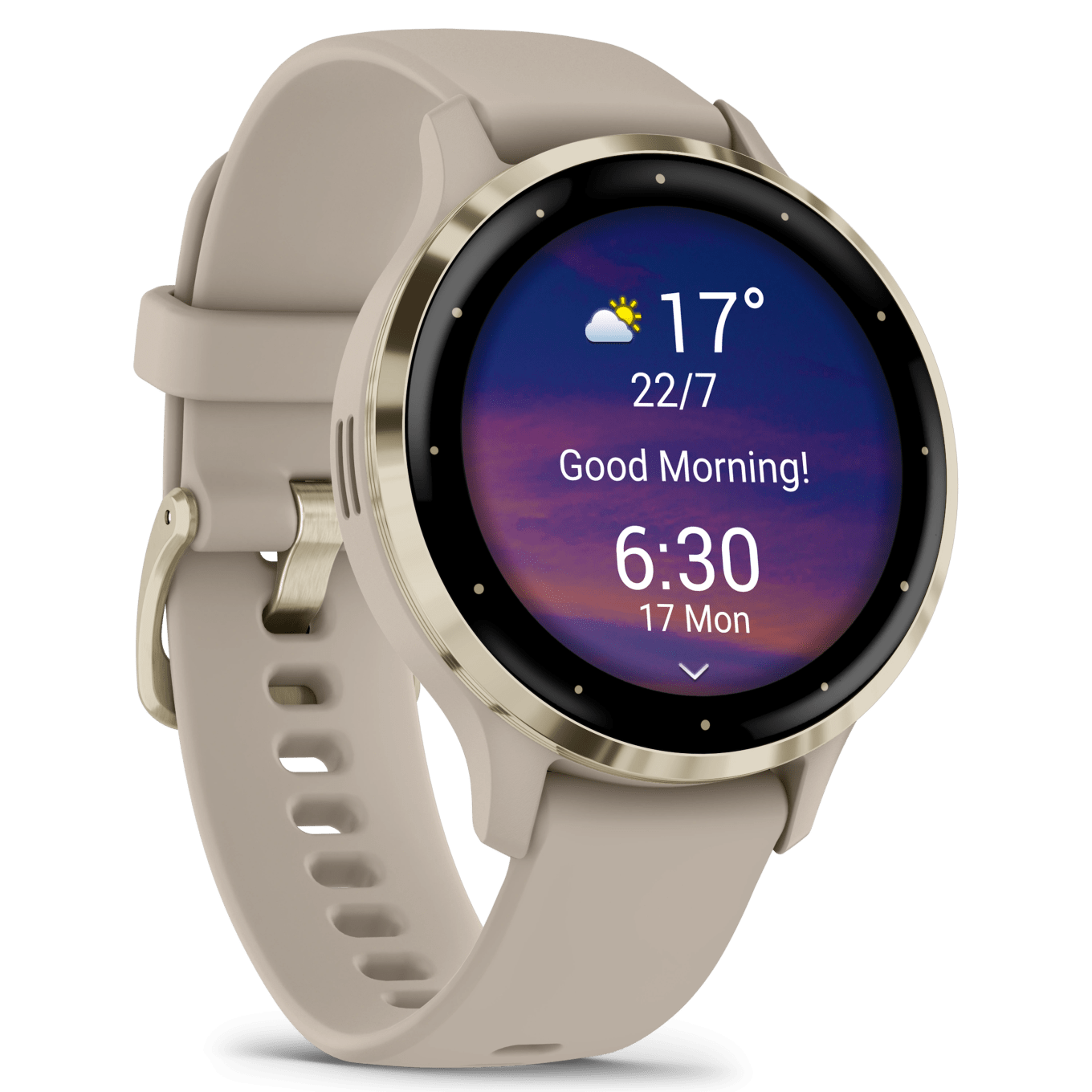 Garmin Venu 3S Smartwatch French Gray/Soft Gold Garmin