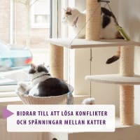 Feliway Friends Doftavgivare med Refill för katt