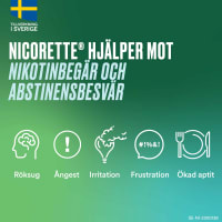 Nicorette Fruktmint munhålespray 1 mg/spray 150 sprayningar