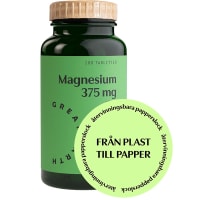Great Earth Magnesium 375 mg 100 tabletter
