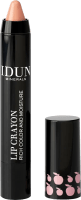 IDUN Minerals Lip Crayon 2,5 g Agnetha