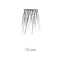 Sweed No Lash Cluster 10 mm