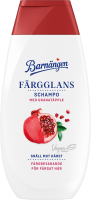 Barnängen Schampo Färgglans 250 ml