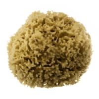 Hydrea London Honeycomb Sea Sponge