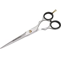 Mr Bear Family Grooming Scissor