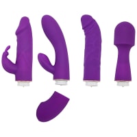 Ladylove Ultimate Vibrator Kit