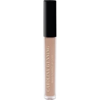 Gynning Shiny Plumping Lip Gloss 2,7 g Sinful Sand