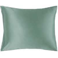 Lenoites Mulberry Silk Pillowcase 50x60 cm Green