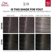 Wella Professionals Color Touch Pure Naturals 130 ml Black 2/0