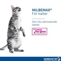 Milbemax vet. för små katter och kattungar tablett 2 st