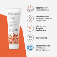 Locobase Repair 100 g