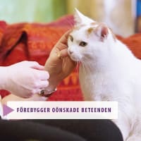 Feliway Classic Doftavgivare med Refill för katt