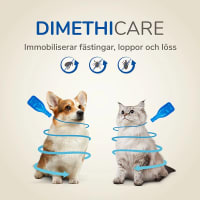 Beaphar Dimethicare Line-on Katt 3x1ml