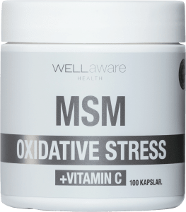 WellAware Health MSM + Vitamin C 100 kapslar