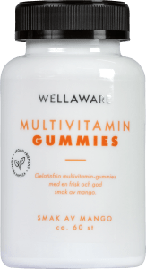 WellAware Multivitamin Gummies 60 st