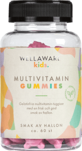 WellAware Kids Multivitamin Gummies 60 st