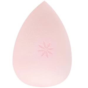 Brushworks Complexion Sponge