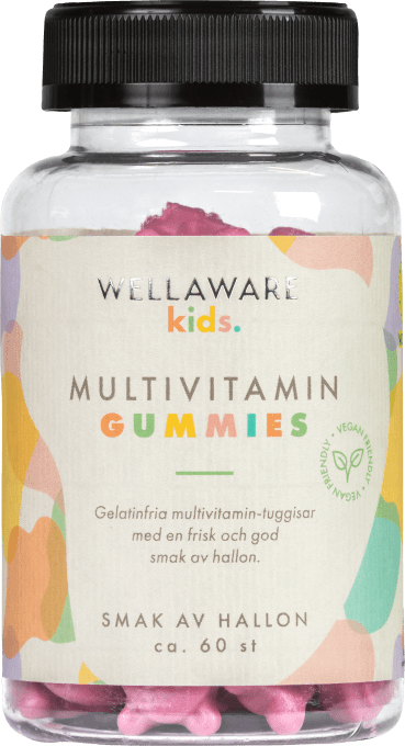 WellAware Kids Multivitamin Gummies 60 st WellAware