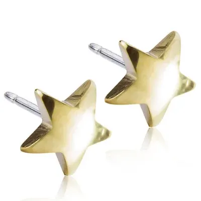 Blomdahl Star 8mm Örhängen 1par Blomdahl