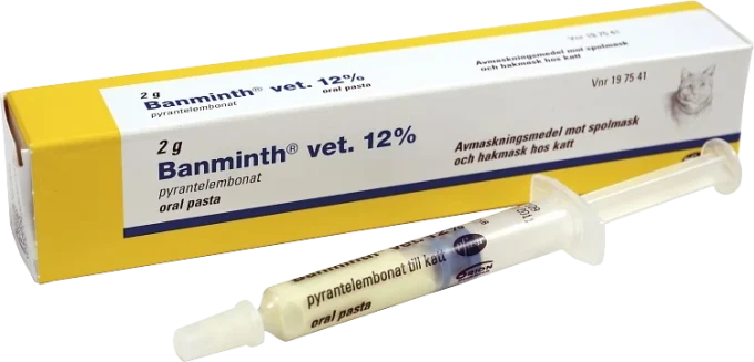 Banminth vet. oral pasta förfylld dosspruta för katt Banminth
