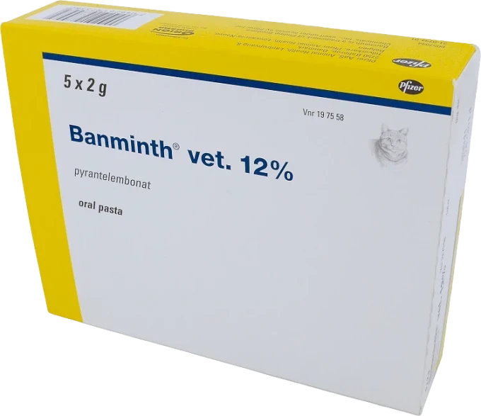 Banminth vet. oral pasta förfylld dosspruta för katt Banminth