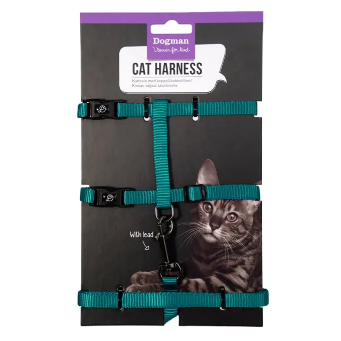 Dogman Kattsele-set Findus Turkos Dogman