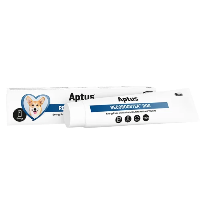Aptus Recobooster Dog 100 g Aptus