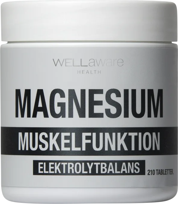 WellAware Magnesium 210 tabletter WellAware