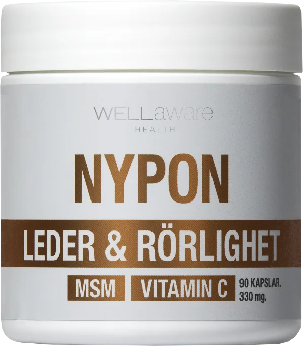 WellAware Nypon 90 kapslar WellAware