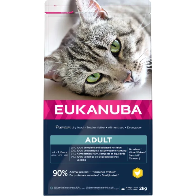 Eukanuba Cat Adult 2 kg eukanuba