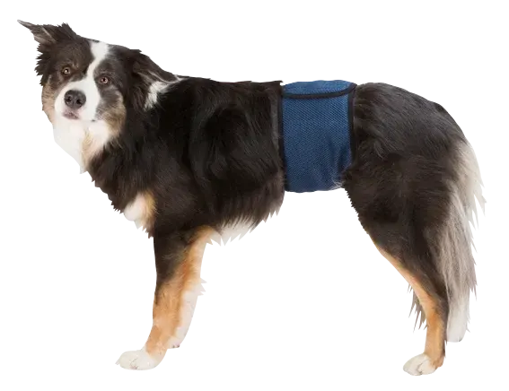 Trixie Hanhundsskydd Mörkblå M Trixie