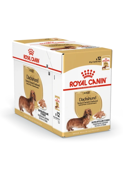 Royal Canin Dachshund Adult Loaf 12x85 g Royal Canin