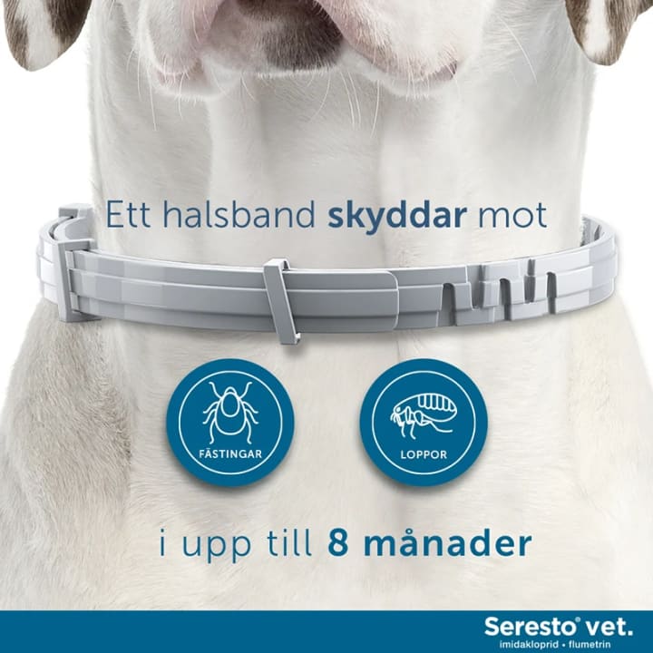 Seresto vet. halsband för hund över 8 kg 4,50 g+2,03 g 1 st Seresto