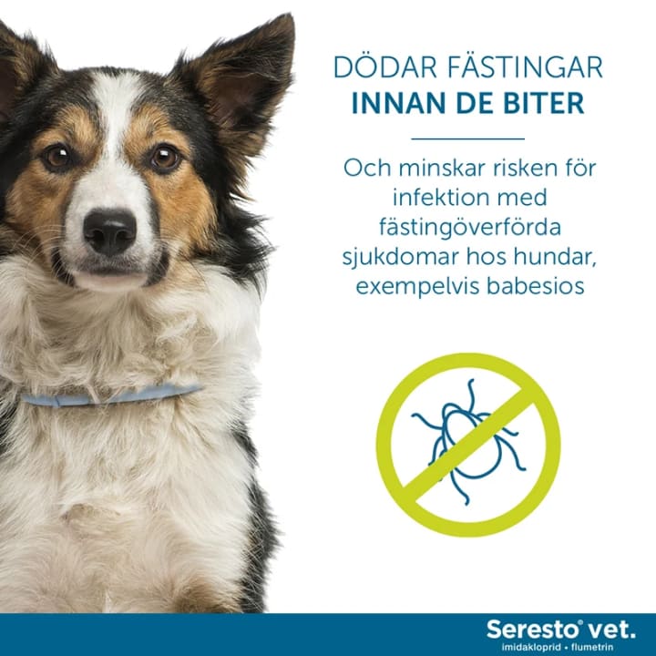 Seresto vet. halsband för hund över 8 kg 4,50 g+2,03 g 1 st Seresto